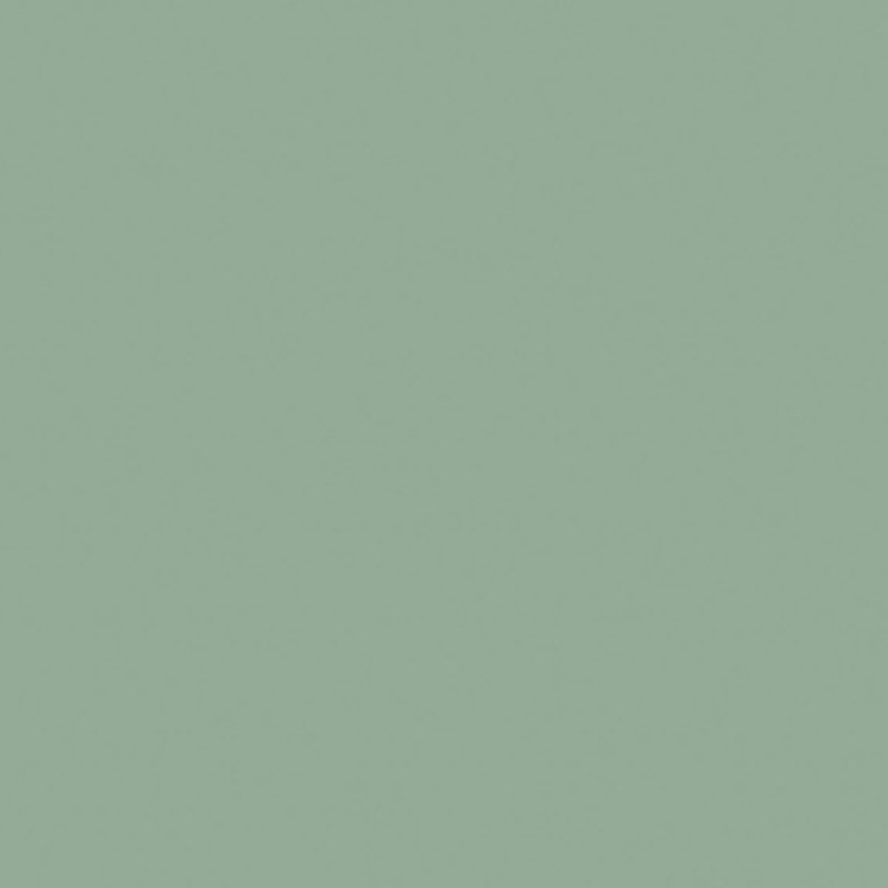 POLYREY VERT DE GRIS V106 FA